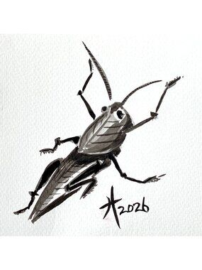Grasshopper Original Art Sumi Ink Painting 8x10in Matted Frame Ready
